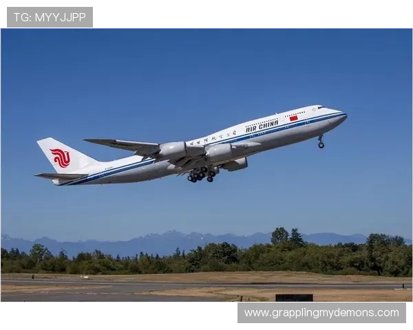 菲律宾欧博管理网在跨境商务中的应用与未来发展趋势探讨